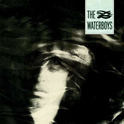 The Waterboys - The Waterboys (LP, Album, RE, RM, 180)