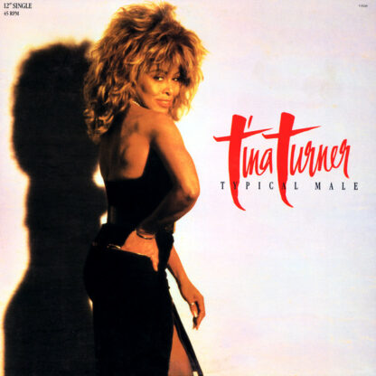 Tina Turner - Typical Male (Dance Mix) (12", Single, Spe)