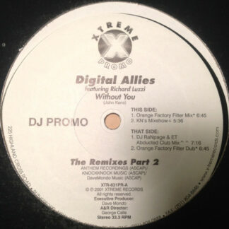 Digital Allies Featuring Richard Luzzi - Without You (12", Single, Promo)