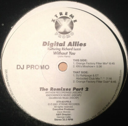 Digital Allies Featuring Richard Luzzi - Without You (12", Single, Promo)