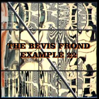 The Bevis Frond - Example 22 (2xLP, Album)