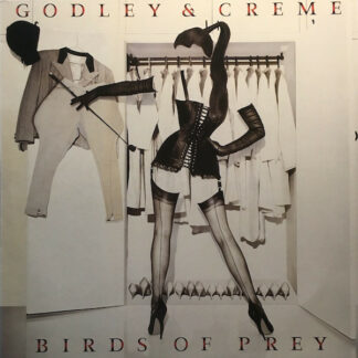 Godley & Creme - Birds Of Prey (LP, Album)
