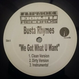 Busta Rhymes - We Got What U Want (12", Unofficial)