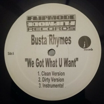 Busta Rhymes - We Got What U Want (12", Unofficial)