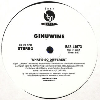 Ginuwine - What’s So Different (12", Promo)