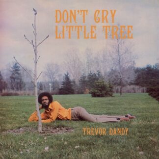 Trevor Dandy - Don't Cry Little Tree (LP, Album, RE)