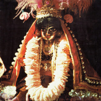 Hare Kṛṣṇa Festival* - Hare Kṛṣṇa Festival (LP)
